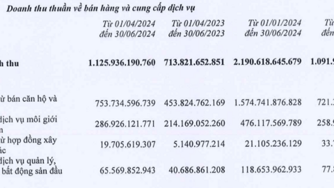 Vắng hoạt động thanh lý khoản đầu tư, lãi ròng quý 2 của Đất Xanh đi lùi gần 80%