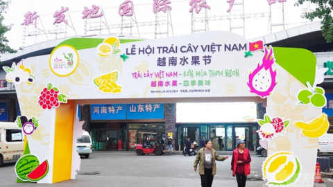Mở rộng danh mục các loại trái cây Việt Nam được xuất khẩu chính ngạch vào Trung Quốc