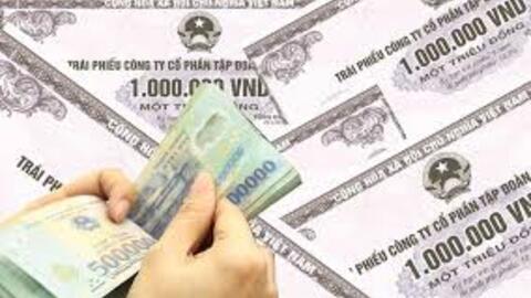 DNP dùng 15 triệu cổ phiếu để huy động 150 tỷ đồng trái phiếu trả nợ ngân hàng