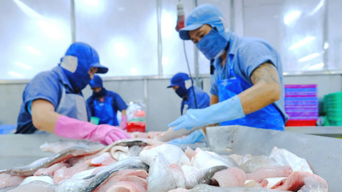 Vĩnh Hoàn có doanh thu tháng 10 hơn 1,200 tỷ, thị trường Mỹ tăng 161%