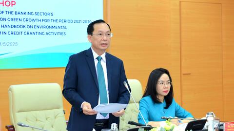 Phó Thống đốc Thường trực Đào Minh Tú: Tốc độ tăng trưởng bình quân dư nợ tín dụng xanh giai đoạn 2017-2024 đạt trên 21%/năm