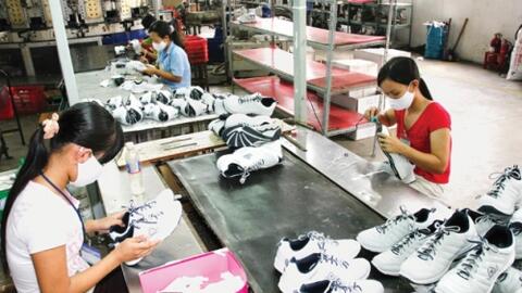 Doanh nghiệp cần chủ động nguồn nguyên liệu