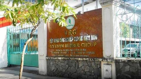 Tập đoàn Cao su: Đại hội bất thường thay thế Tổng giám đốc và Chủ tịch Hội đồng quản trị