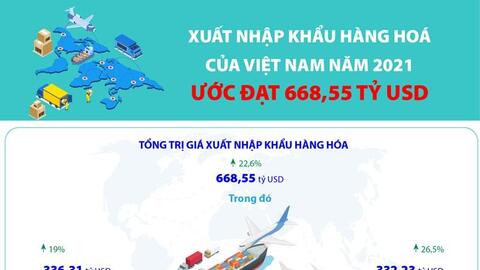 Xuất nhập khẩu hàng hóa của Việt Nam năm 2021 ước đạt 668,55 tỷ USD