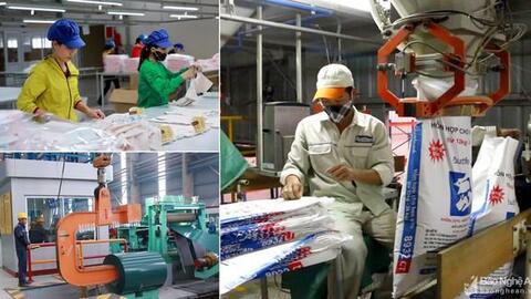 Chính phủ ban hành Chương trình hỗ trợ doanh nghiệp khu vực tư nhân kinh doanh bền vững