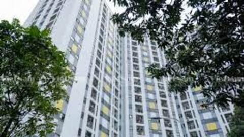 Toàn cảnh dự án nhà ở xã hội Rice City tăng giá gấp đôi sau 3 năm