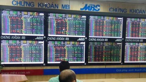 Cổ phiếu khuyến nghị hôm nay (15/5): IMP, MSN và HPG