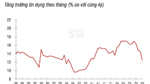 Tăng trưởng tín dụng TPHCM những tháng còn lại 2023 sẽ chuyển biến tích cực