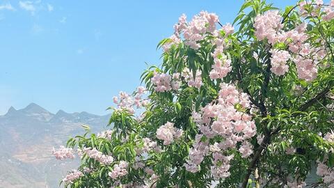 Đạo diễn 9X Hoàng Thành Long làm phim hài Tết "Điều ước của cha"