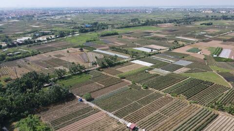 Xây dựng kế hoạch giao đất dịch vụ cho người dân trước ngày 30/9/2024