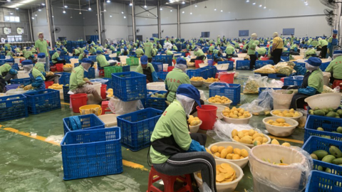 Thương mại Campuchia-Trung Quốc tiếp tục tăng trong năm 2023 dù nhu cầu thế giới giảm tốc