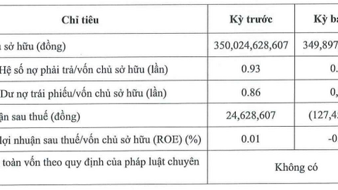 Công ty liên quan Bitexco báo lỗ, tiếp tục điều chỉnh lịch mua lại trái phiếu