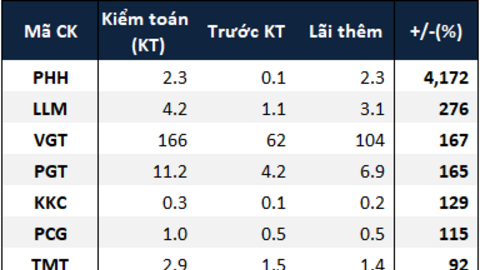 Lãi ròng doanh nghiệp trên sàn giảm hơn 3.2 ngàn tỷ đồng sau kiểm toán