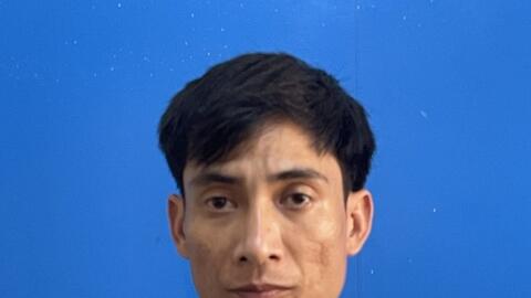 Tân Kỳ (Nghệ An): Khởi tố đối tượng lừa đảo cấp đổi giấy phép lái xe qua mạng