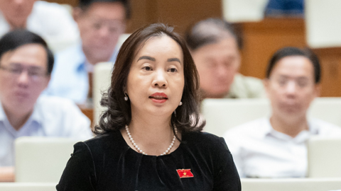 Bộ Công Thương đang hoàn thiện nghị định sửa đổi về xuất khẩu gạo