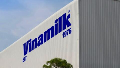 Vinamilk - Doanh nghiệp duy nhất ngành sữa Việt trong danh sách Fortune 500 Đông Nam Á