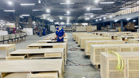 Doanh nghiệp gỗ đầu tiên giảm lãi trong 6 tháng đầu năm