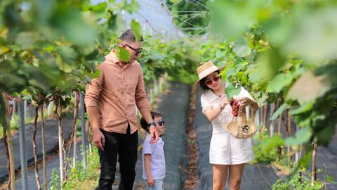 Hà Nội: Giải pháp phát triển du lịch gắn với sản phẩm OCOP