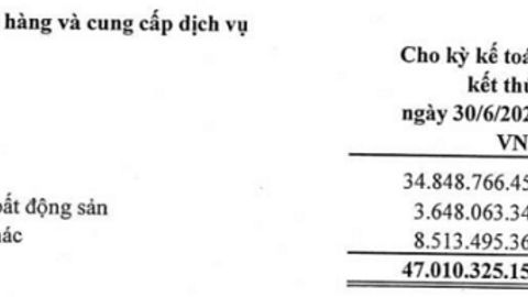 Kiểm toán nghi ngờ khả năng thu hồi nợ và khoản đầu tư của HU1