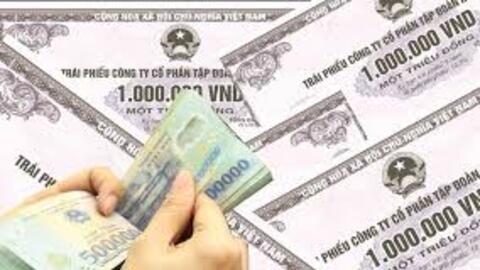 DNP dùng 15 triệu cổ phiếu để huy động 150 tỷ đồng trái phiếu trả nợ ngân hàng