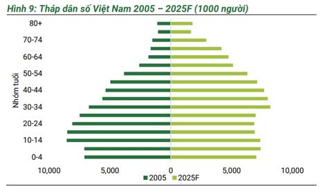 Bidiphar: Kỳ vọng tăng trưởng từ nền tảng vững mạnh