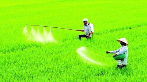 Phân bón chịu thuế GTGT 5%: Người nông dân được gì từ chính sách mới?