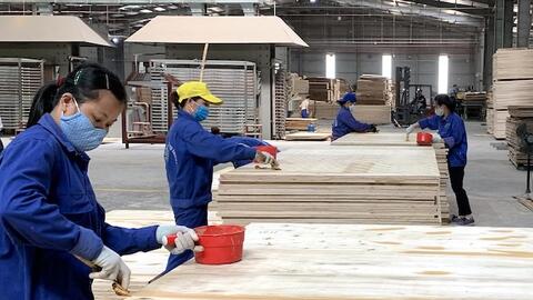 Ngành chế biến gỗ dự thu hơn 17 tỷ USD cả năm 2024