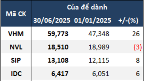 Soi “của để dành” doanh nghiệp bất động sản sau nửa đầu năm