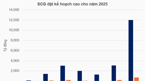 Tập đoàn Sunshine khởi động kế hoạch biến SCG thành công ty con