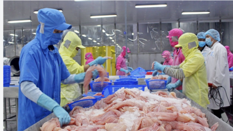 CPTPP hỗ trợ ngành hàng của Việt Nam thâm nhập sâu vào thị trường