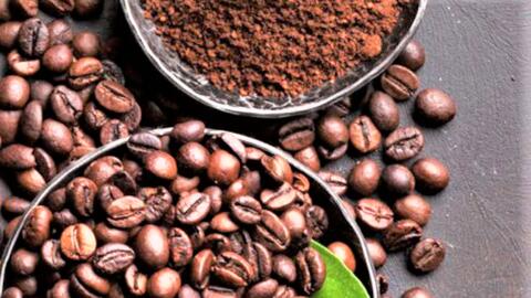 Xuất khẩu nông lâm thủy sản 11 tháng vượt kỷ lục, đạt hơn 64 tỷ USD