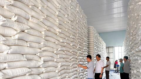 Xuất cấp gạo dự trữ quốc gia hỗ trợ tỉnh Cao Bằng dịp Tết Nguyên đán năm 2026