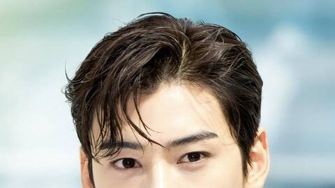 Cha Eun Woo bị gọi là "thiên tài trốn thuế" với chiến lược tinh vi