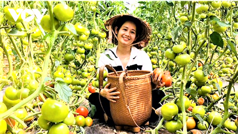 Thúc đẩy mở cửa thị trường các mặt hàng nông thủy sản có thế mạnh