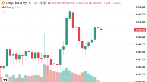 Ngày 19/3: Giá vàng trong nước đồng loạt lao dốc