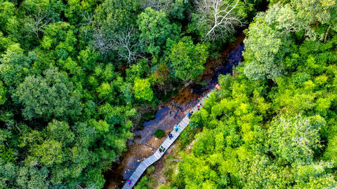 Gần 1.900 tỷ đồng hỗ trợ 6 tỉnh phía Bắc bảo vệ và phát triển rừng bền vững