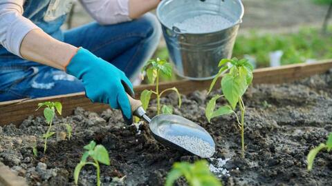 Kiểm soát giá phân bón, giảm chi phí sản xuất cho nông nghiệp