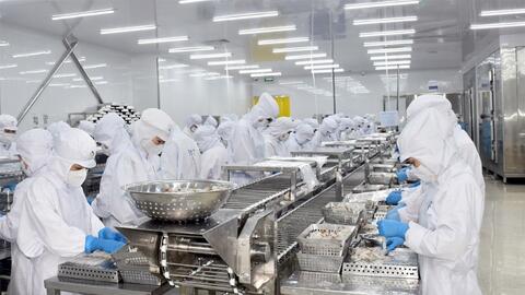 Cà Mau tăng tốc trở thành trung tâm chế biến nông - thủy sản quy mô lớn