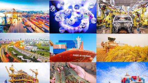 Khuyến khích doanh nghiệp đầu tư, kinh doanh ở thị trường nước ngoài