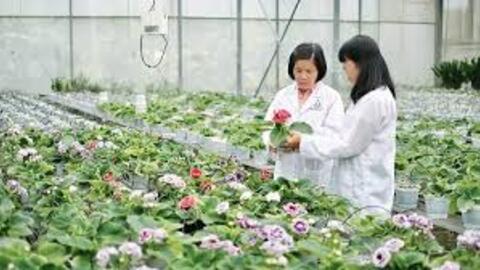 Tập trung phát triển, ứng dụng hiệu quả công nghệ sinh học thành ngành kinh tế - kỹ thuật quan trọng