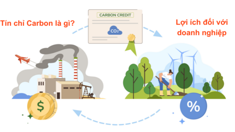 Hoàn thiện chính sách thuế đối với tín chỉ carbon tại Việt Nam hiện nay