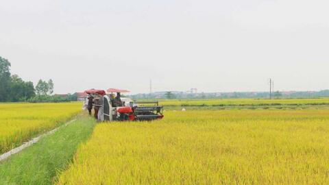 Phong trào nông dân giỏi thúc đẩy hiện đại hóa ngành nông nghiệp Quảng Ninh