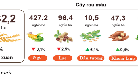 Nông nghiệp giữ đà tăng trưởng, tiếp tục khẳng định vai trò trụ đỡ kinh tế
