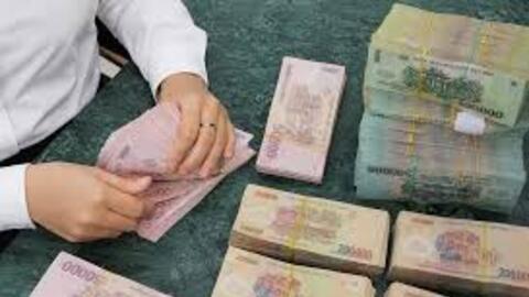 Loạt doanh nghiệp trả cổ tức, Tipharco kết hợp tiền mặt và cổ phiếu