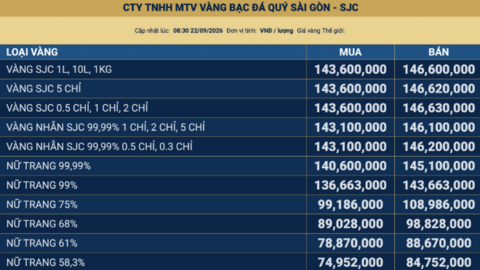 Giá vàng hôm nay: SJC giữ mốc 146,6 triệu đồng