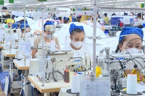 Thanh Hoá thu ngân sách nhà nước đạt trên 60% dự toán năm