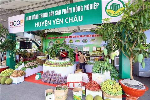 OCOP không còn chỉ giới hạn ở sản phẩm nông sản