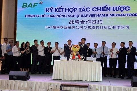 Nuôi heo nhà cao tầng: Bước đột phá công nghệ và hành trình xanh hóa ngành heo thịt Việt Nam