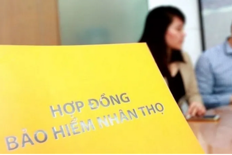 Nhiều doanh nghiệp bảo hiểm nhân thọ “bốc hơi” lợi nhuận trong nửa đầu năm 2025