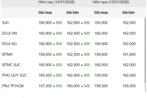 Ngày 14/1: Giá vàng trong nước lập đỉnh mới